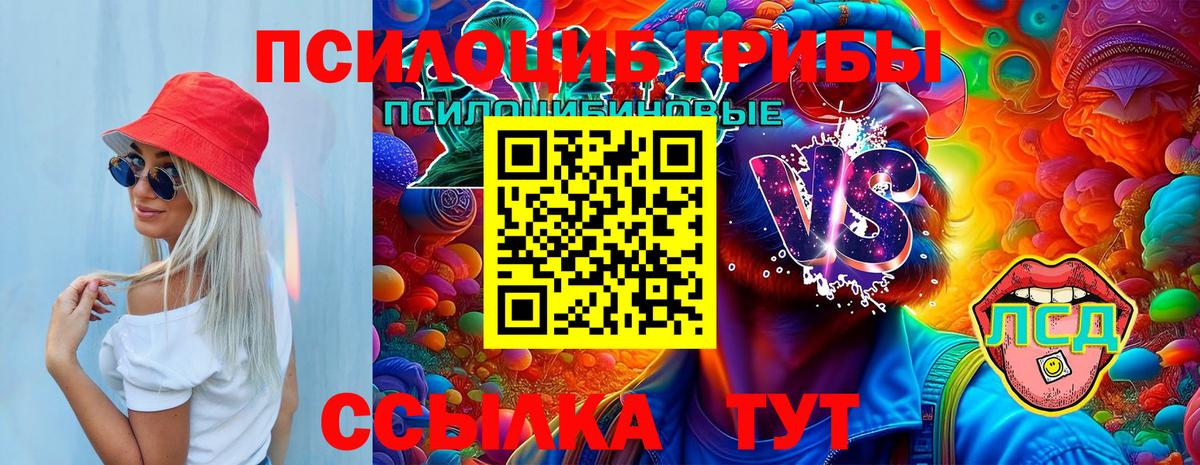 Галлюциногенные грибы Cubensis  Вход с VPN  Северобайкальск  Галлюциногенные грибы ЛСД 